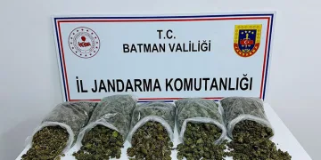 Mersin’de kaçakçılık operasyonu: 1 gözaltı
