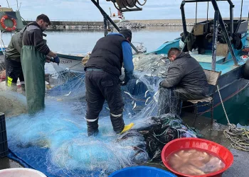 Niğde’ye atanan 5 uzman hekim hasta kabulüne başladı