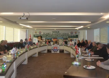 Gemlik Körfezi’nde müsilaj kabusu