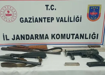 Bitlis’te 24 düzensiz göçmen yakalandı