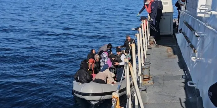 Mersin’de kaçakçılık operasyonu: 1 gözaltı