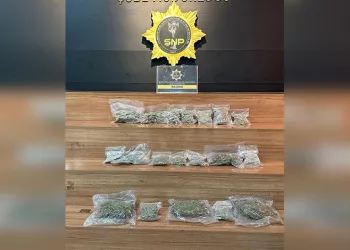 Oto boya atölyesinde çıkan yangın paniğe neden oldu