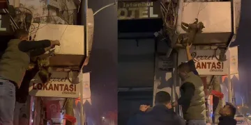 İznik’te kablolara dolanan kedi kurtarıldı