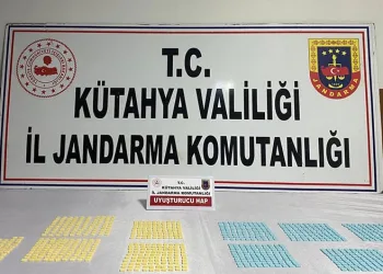 Bolu’da bir haftada 224 asayiş olayı meydana geldi