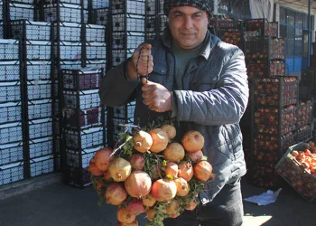 Arnavut depremzedeler Türkiye’nin inşa ettiği evlerde huzurlu bir yaşam sürdürüyor