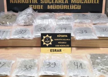 Ayvacık’ta 2 kaçak göçmen yakalandı