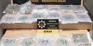Ayvacık’ta 2 kaçak göçmen yakalandı