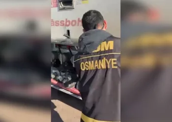 Artvin’de kaçak avcılar kameralara takıldı