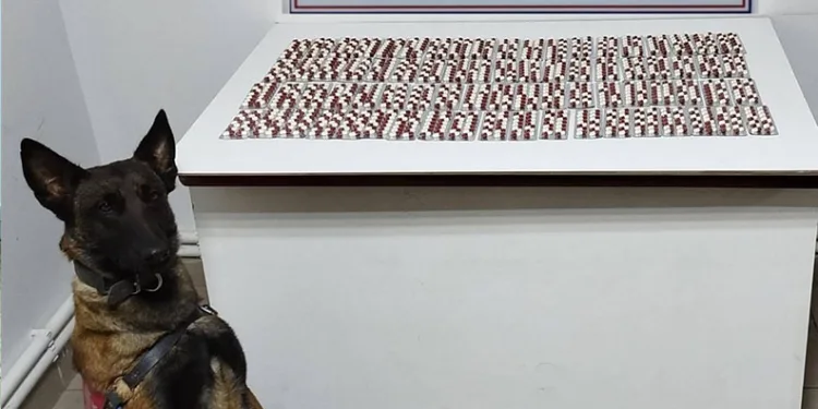 Salihli Jandarmanın 1 yılı böyle geçti