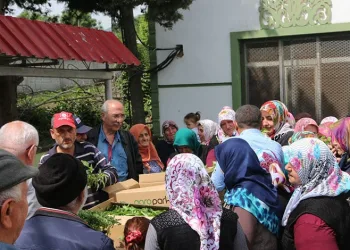 Sinop’ta ölüme terk edilen köpekler kurtarılmayı bekliyor