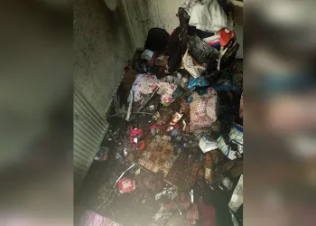 Bolu’da kaçak avcılığa 1 milyon 50 bin TL ceza