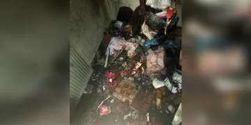 Bolu’da kaçak avcılığa 1 milyon 50 bin TL ceza