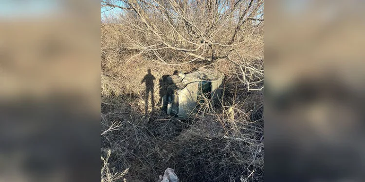 Bingöl’de haklarında kesinleşmiş hapis cezası bulunan 2 kişi yakalandı