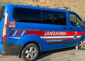 Kuyucak’ta köpek dövüşüne jandarma baskını: 3’ü organizatör, 52 şahıs yakalandı