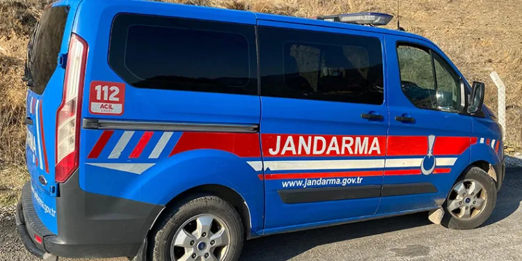 Kuyucak’ta köpek dövüşüne jandarma baskını: 3’ü organizatör, 52 şahıs yakalandı