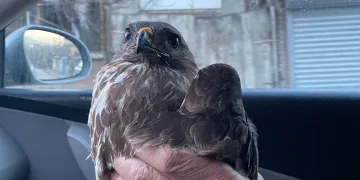 Çocuğu ezmişti, ev hapsi cezasının kaldırılmasını istedi
