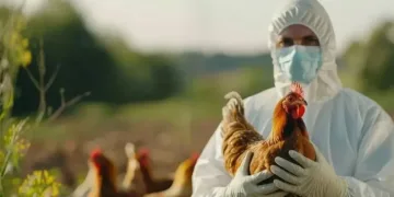 ABD’de kuş gribine bağlı ilk can kaybı