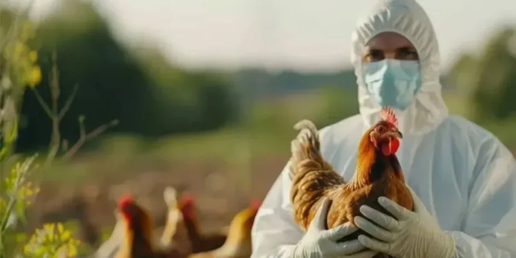 ABD’de kuş gribine bağlı ilk can kaybı