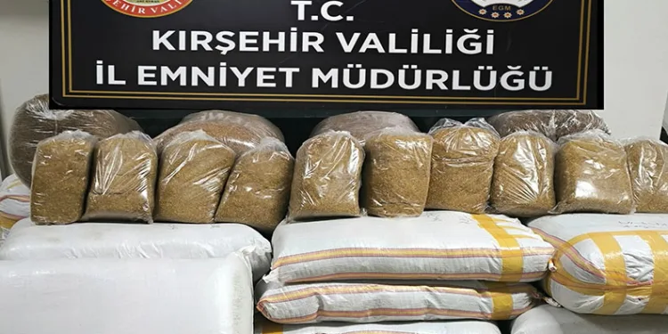 Kuyucak’ta köpek dövüşüne jandarma baskını: 3’ü organizatör, 52 şahıs yakalandı