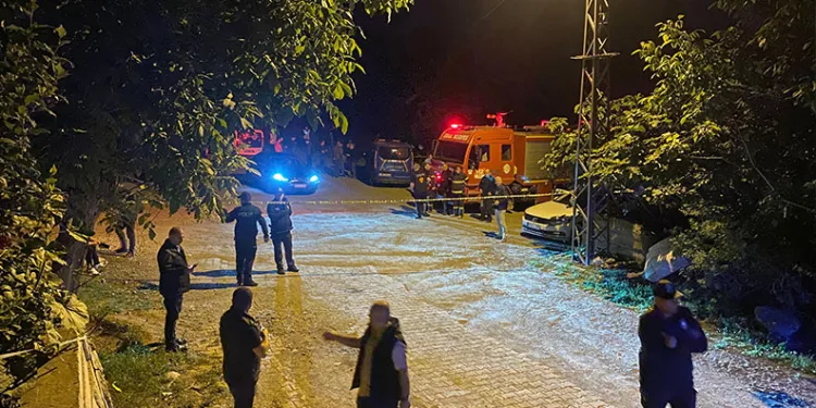 Kontrolden çıkan otomobil elektrik direğini devirdi
