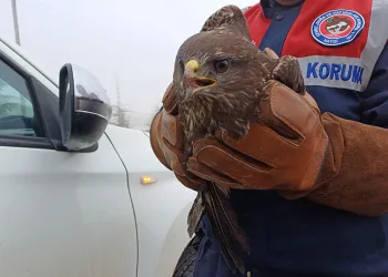 Mersin’de sahte alkol öldürdü