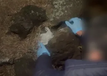 Üniversitede 20 öğrenci zehirlenme şüphesiyle hastaneye kaldırıldı
