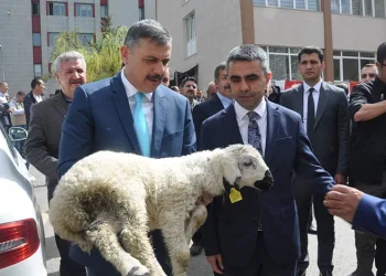 Arnavut depremzedeler Türkiye’nin inşa ettiği evlerde huzurlu bir yaşam sürdürüyor
