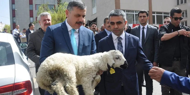 Arnavut depremzedeler Türkiye’nin inşa ettiği evlerde huzurlu bir yaşam sürdürüyor
