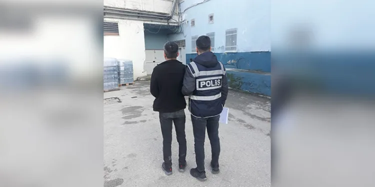 Kuyucak’ta köpek dövüşüne jandarma baskını: 3’ü organizatör, 52 şahıs yakalandı