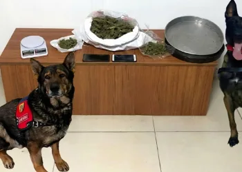 Erzincan’da bir miktar kaçak ve el yapımı alkol ele geçirildi