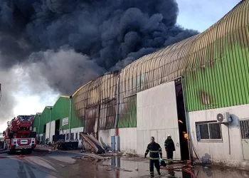 Adana’da geri dönüşüm fabrikasında yangın