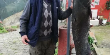 1,78 metre yayın balığı yakalandı