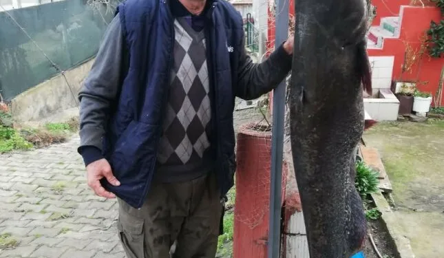 1,78 metre yayın balığı yakalandı