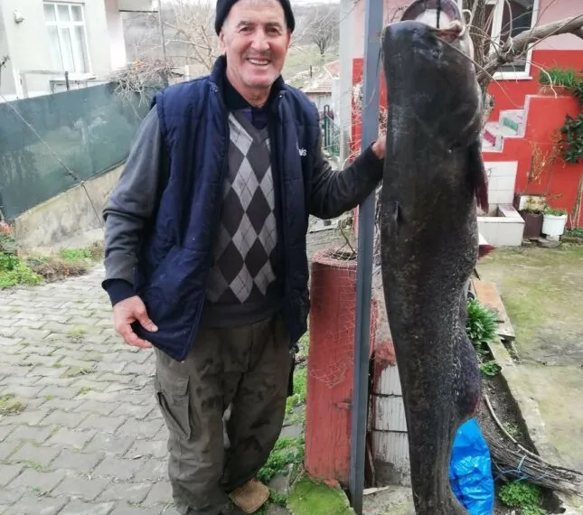 1,78 metre yayın balığı yakalandı