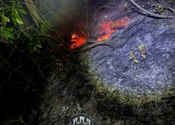 Zonguldak’ta 4 dönüm yangın çıktı