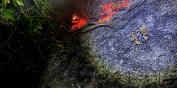 Zonguldak’ta 4 dönüm yangın çıktı