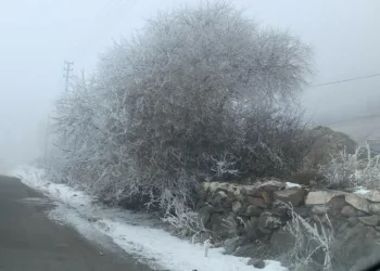 Kars’ta yoğun sis etkili oluyor