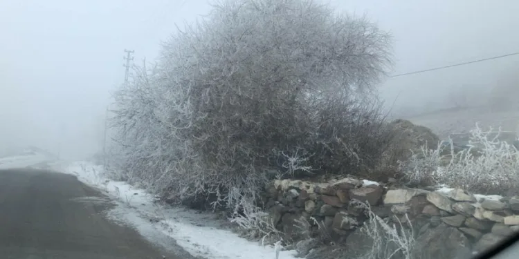 Kars’ta yoğun sis etkili oluyor