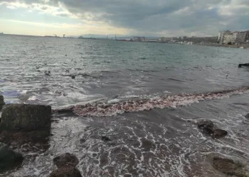 Marmara Denizi kızıla boyandı