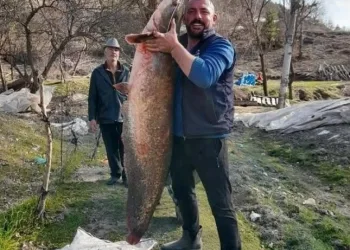Burdur’da gölde tutulan dev yayın balığı