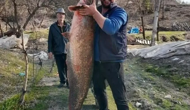 Burdur’da gölde tutulan dev yayın balığı