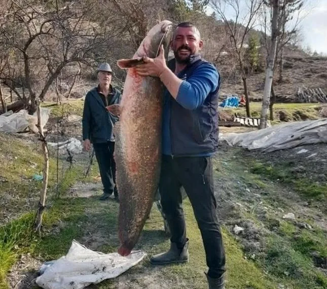 Burdur’da gölde tutulan dev yayın balığı