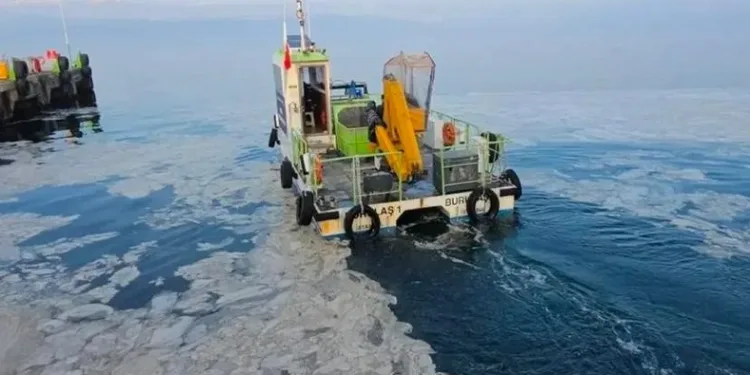 Bursa’da müsilaj için çalışmalar başladı