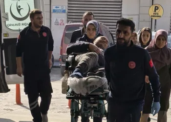 Bursa’da budadığı ağaçtan düşen şahıs yaralandı