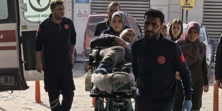 Bursa’da budadığı ağaçtan düşen şahıs yaralandı