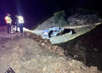 Mardin’de silah ve mühimmat kaçakçılığına yönelik eş zamanlı operasyon: 11 tutuklama