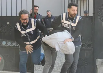 Ankara’da mahalleli başıboş köpekler nedeniyle geceleri uyuyamıyor