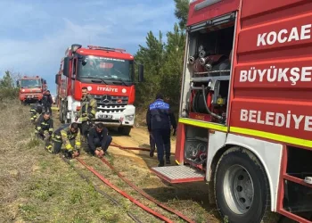 Ankara’da mahalleli başıboş köpekler nedeniyle geceleri uyuyamıyor