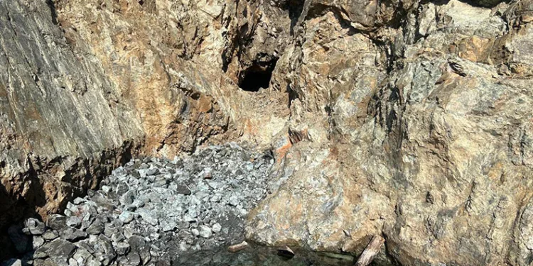 İzinsiz maden arayan 4 şahıs yakalandı