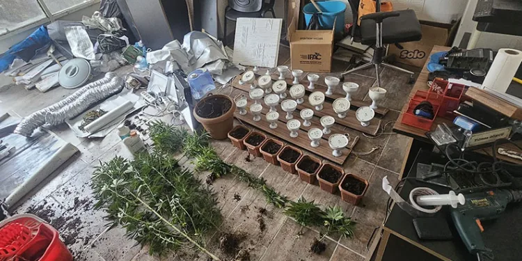 İş yerinde uyuşturucu yetiştiren kişi tutuklandı